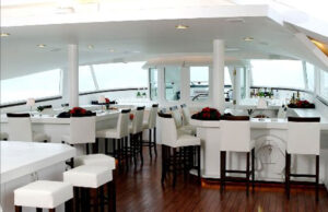 Tekne LTL - Görsel 4