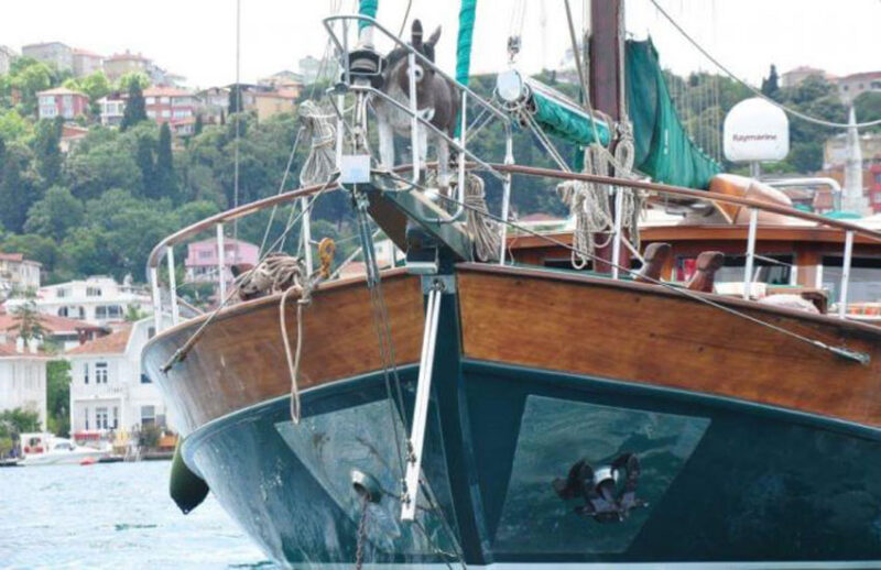 Tekne MND - Görsel 9